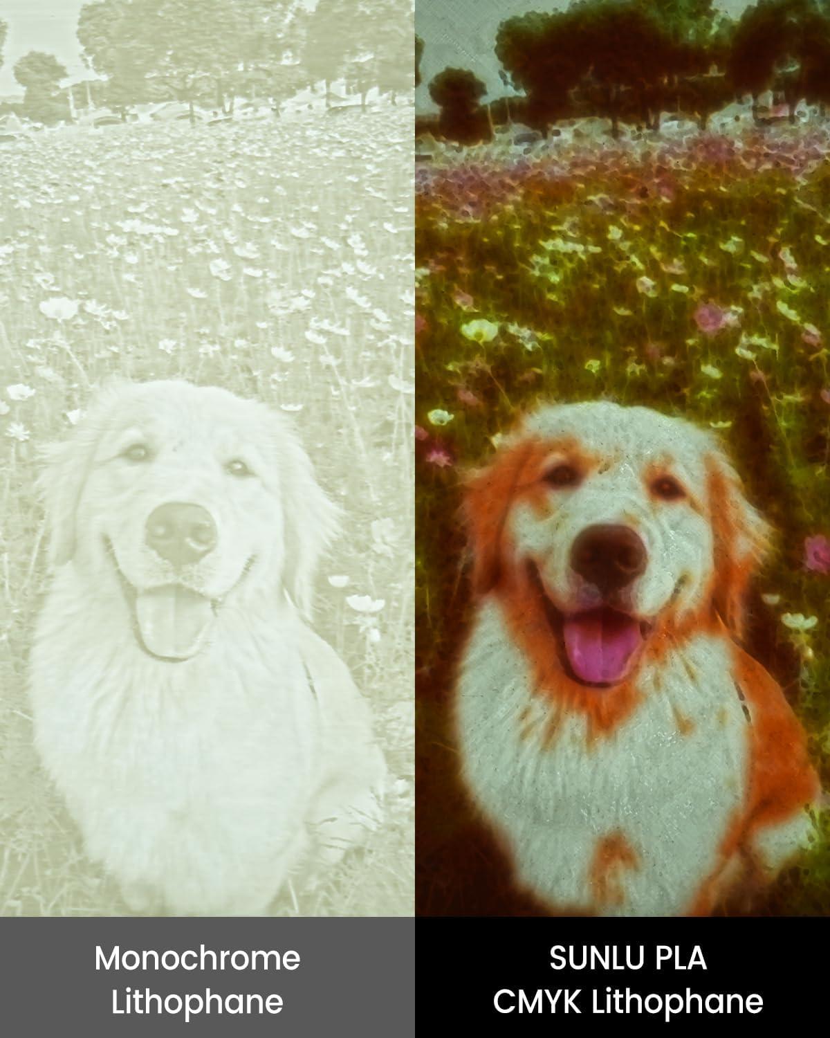 imageSUNLU PLA20 3D Printer Filament Bundle 4KG Upgrade PLA Filament 175mm Tougher and Stronger Dimensional Accuracy 002mm 1KG per Spool 4 Packs 4KG Total Black1kg4 Cmykwhitecyanmagentayellow