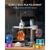 imageSUNLU Silk Dual Color Pla Filament Silk PLA 3D Printer Filament 175mm Shiny Silk Texture Dimensional Accuracy  002mm 1KG Spool 22 lbs PLA Silk Dual Color Blue Green1000g Silver