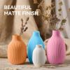 imageSUNLU PLA Matte Filament 16 Color Bundle Multicolor PLA 3D Printer Filament 175mm Mini Spool Matte Finish Individually Vacuum Packed 16 Pack1000gpla Bone White